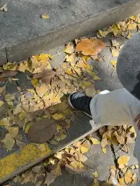 室外遛娃｜諸暨五泄 闖入秋葉世界