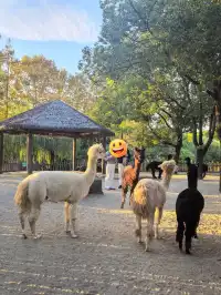 謝謝上野送的生日禮物~今天的快樂是免費哒