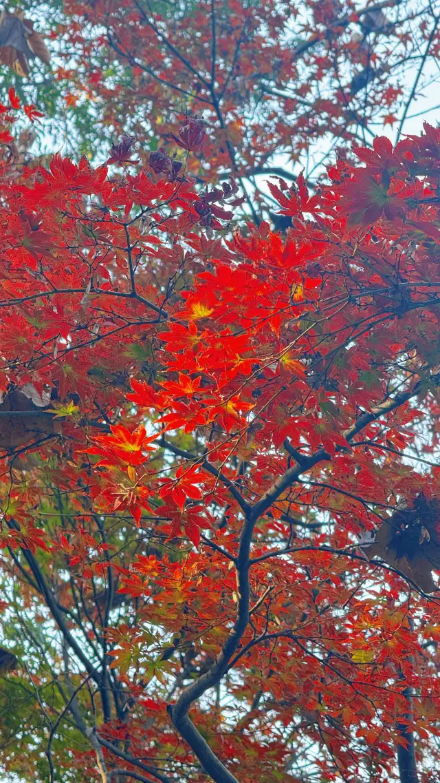 My retirement city is chosen