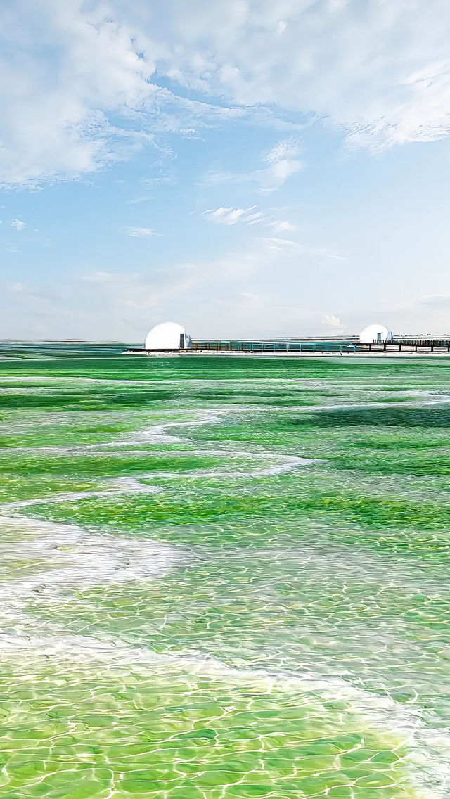 青海藏着片「天空之鏡」!察爾汗鹽湖美到讓人失語 青海藏着片「天空之鏡」!察爾汗鹽湖美到讓人失語