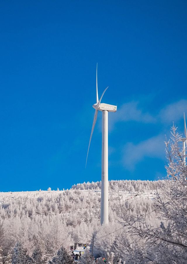 北京周邊藏了個冰雪王國?它叫樺皮嶺!! 北京周邊藏了個冰雪王國?它叫樺皮嶺!!