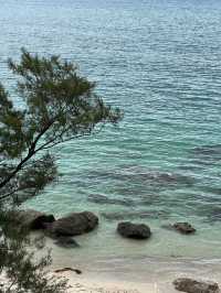 一起來看深圳桔釣沙