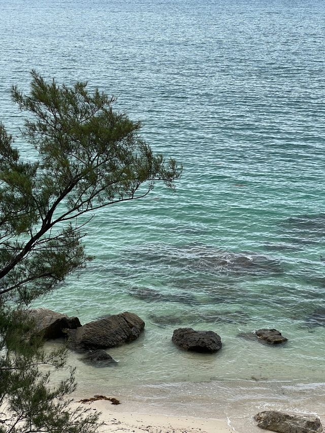 一起來看深圳桔釣沙 一起來看深圳桔釣沙