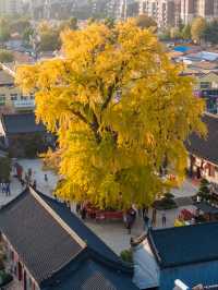 青島-威海-煙台5日遊去前必看攻略
