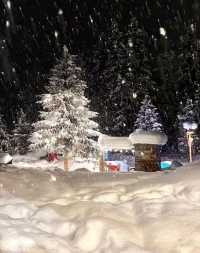 禾木冬遊｜童話村玩透+避坑全攻略 女生直接抄