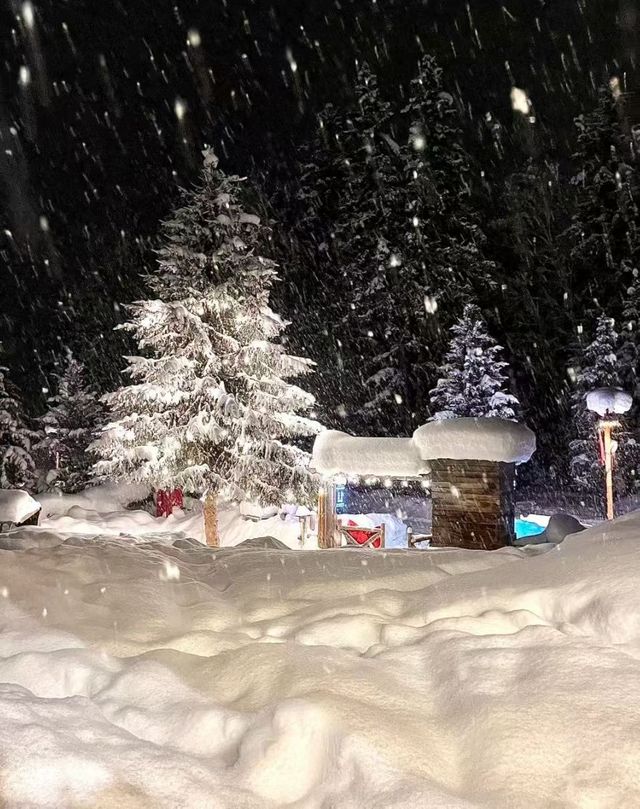 禾木冬遊｜童話村玩透+避坑全攻略 女生直接抄