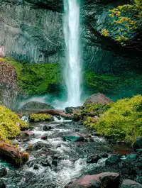 美國西雅圖包車｜市區雷尼爾往返華人接送