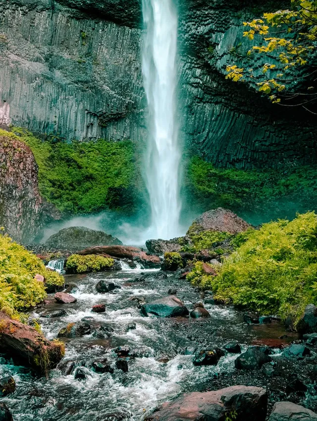 美國西雅圖包車｜市區雷尼爾往返華人接送