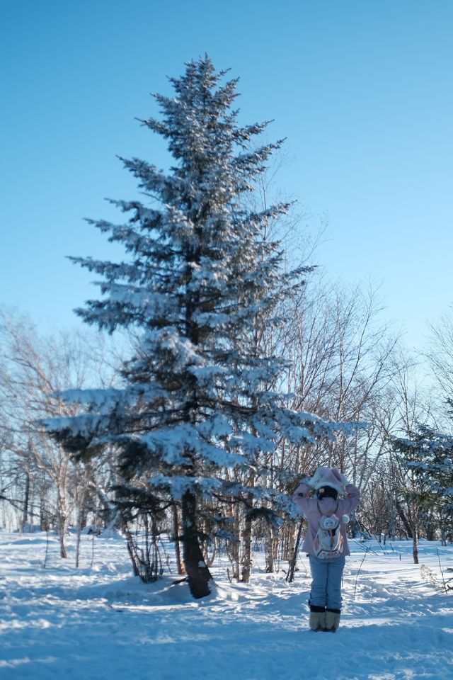 在北大湖實現了霧淞自由 在北大湖實現了霧淞自由