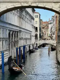 威尼斯你別太寵我！！！