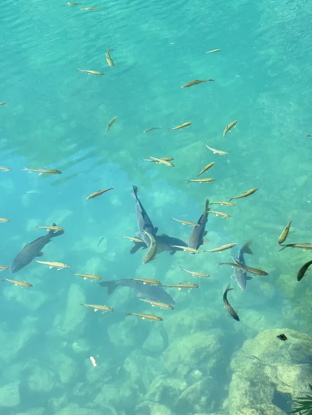 貴州小七孔-貴陽單日往返攻略必看