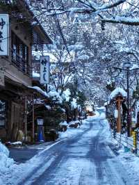 日本冬季遊·暴雪後的京都才是真的瘋狂了！