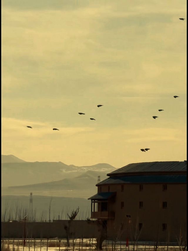 夕陽墜落沙丘的瞬間敦煌月牙泉登頂終極浪漫