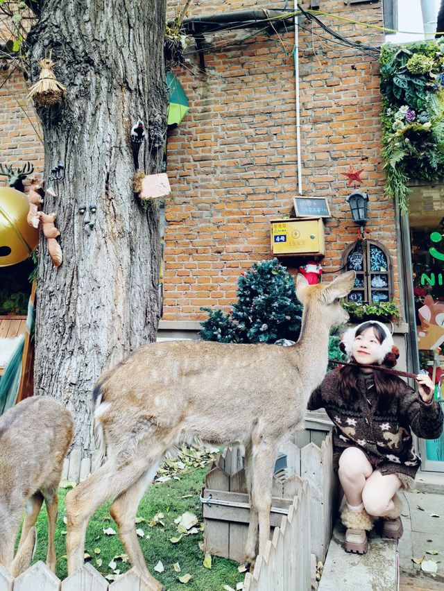 瀋陽冬遊圖鑑：漫季雲尚酒店帶你玩轉盛京暖冬