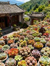 如果生活讓你感到疲憊，那就來雲南吧！ 這裡的陽光、藍天、雪山、古城…會讓你瞬間慢下來，找到生活的節奏