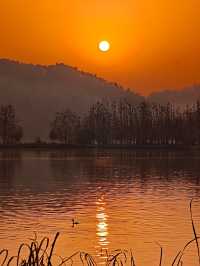 「武漢賞秋」一日遊仙境攻略~