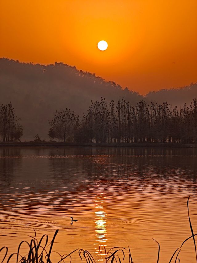 「武漢賞秋」一日遊仙境攻略~ 「武漢賞秋」一日遊仙境攻略~