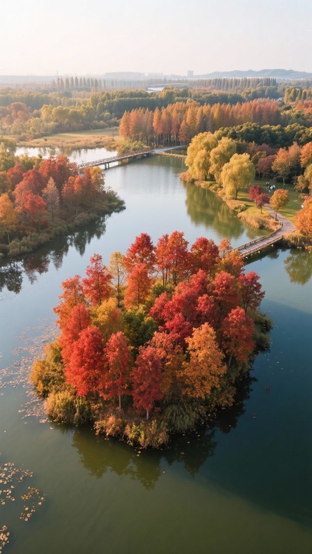 魔都最野的秋日秘境楓葉紅透時草莓正蓄力|金山廊下郊野公園 魔都最野的秋日秘境楓葉紅透時草莓正蓄力|金山廊下郊野公園