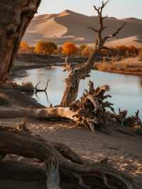 三大胡楊林親子賞秋對比國慶遛娃攻略