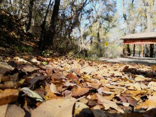 The Most Beautiful Secret Place in Fushun in Autumn