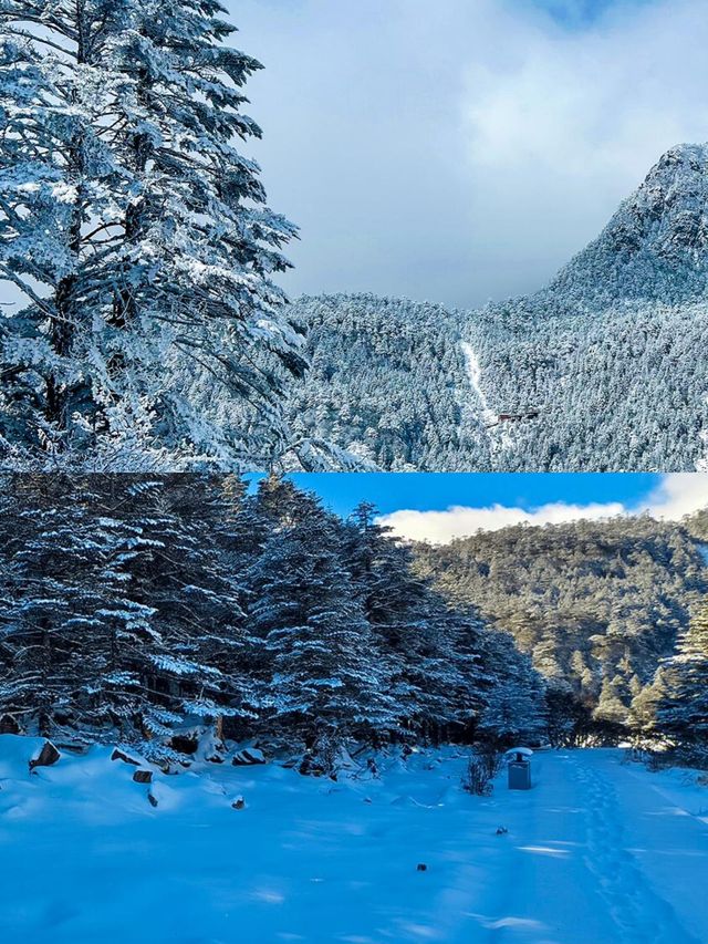 被問爆的雪山治癒地!今年冬天一定要去 被問爆的雪山治癒地!今年冬天一定要去