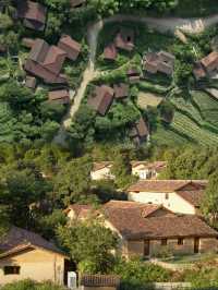 西坡江山｜躺進浙西秘境，住進萬畝梯田神仙民宿
