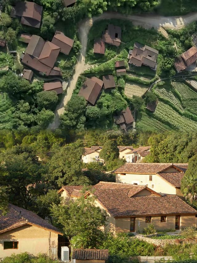 西坡江山｜躺進浙西秘境，住進萬畝梯田神仙民宿