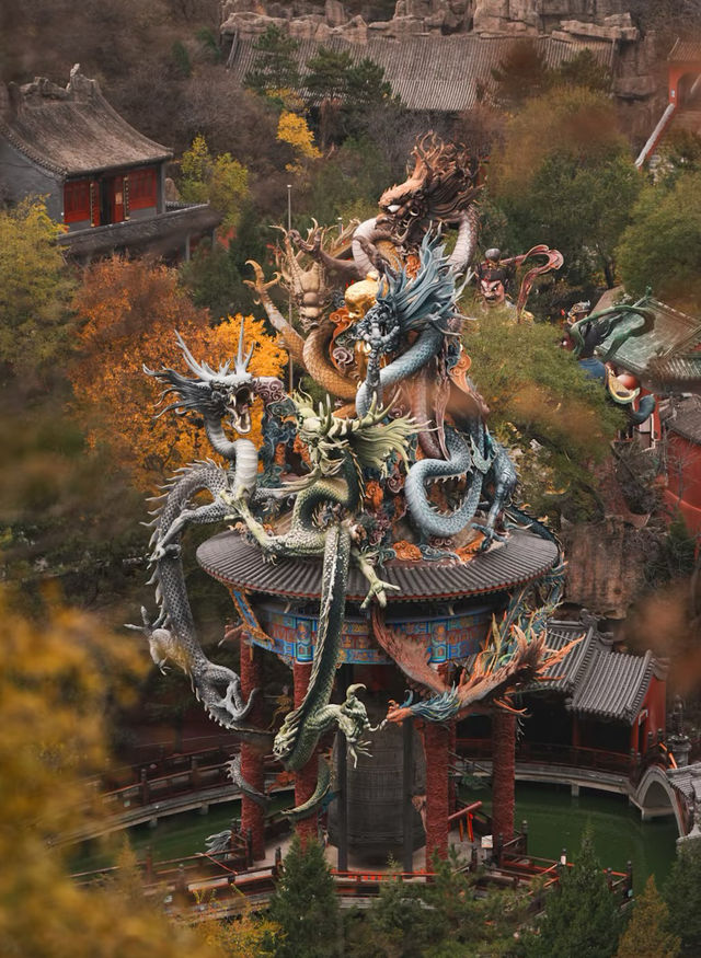 停車自由才是真自由鴻達酒店 停車自由才是真自由鴻達酒店