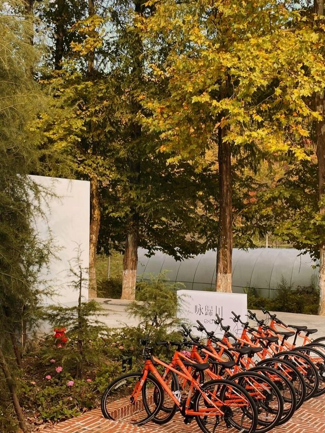 秦嶺帶娃帶父母封神線5天4晚小眾慢遊，躺玩不費媽超治癒