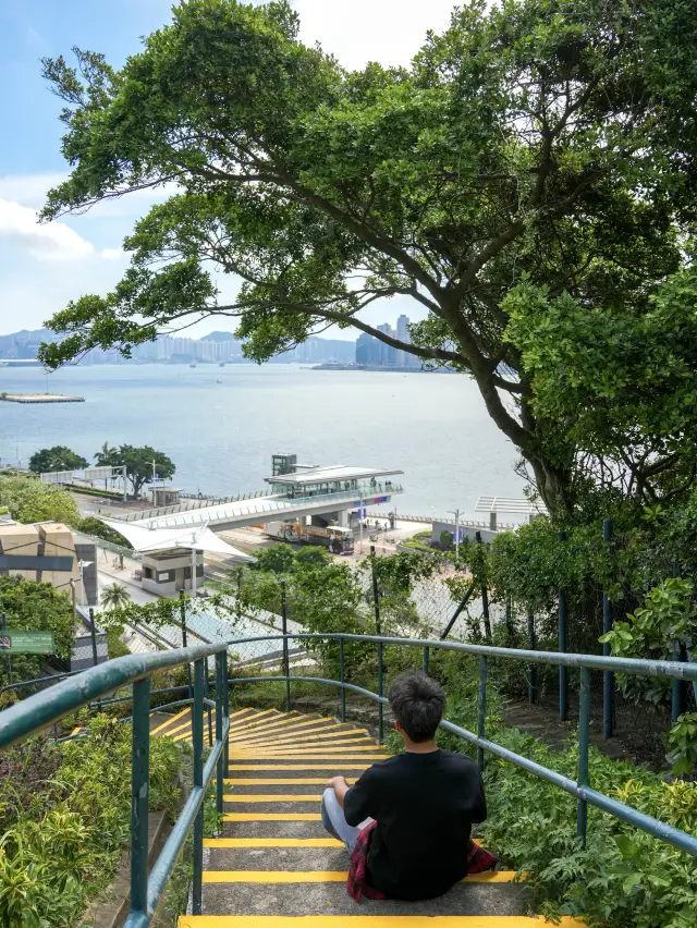 First time visiting Hong Kong, just follow this Citywalk route