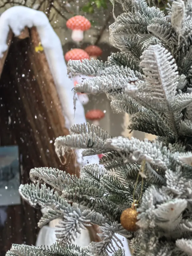 你不知道桂林秋天有多美 你不知道桂林秋天有多美