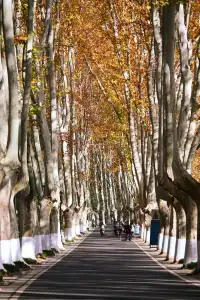 重慶出發 去南京過秋天