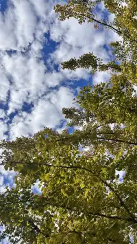 南雄帽子峰不看後悔,11.30無濾鏡!別跑空