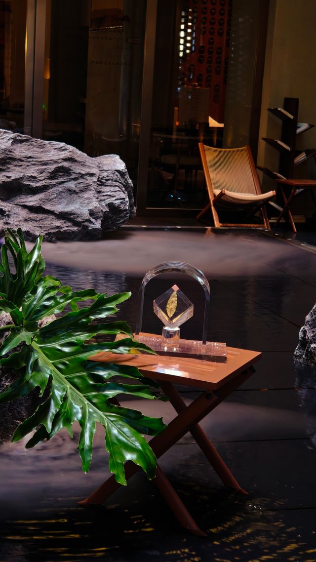 麗江酒店天花板!你不住誰住? 麗江酒店天花板!你不住誰住?