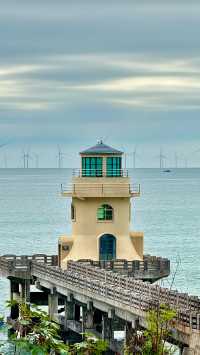 𝗱𝘂𝗱𝘂ᐝ北緯23°的颱風也是吹過了