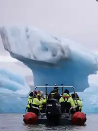 冰島冰河湖遇見海豹|是冬天zui溫柔的驚喜