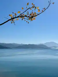 郴州遊#偶遇龍洋魏大勳撒貝寧宣傳