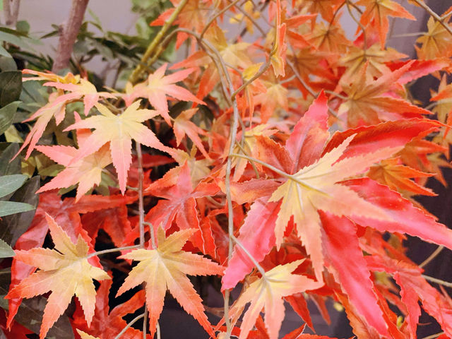 瀋陽家庭出遊首選！