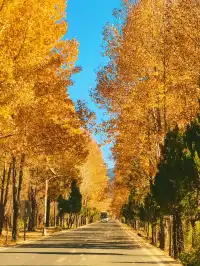 在瀘沽湖酒店看到晨霧！12.5實拍