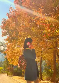 大棠楓香林.你沒看錯.這是香港的楓葉林喔