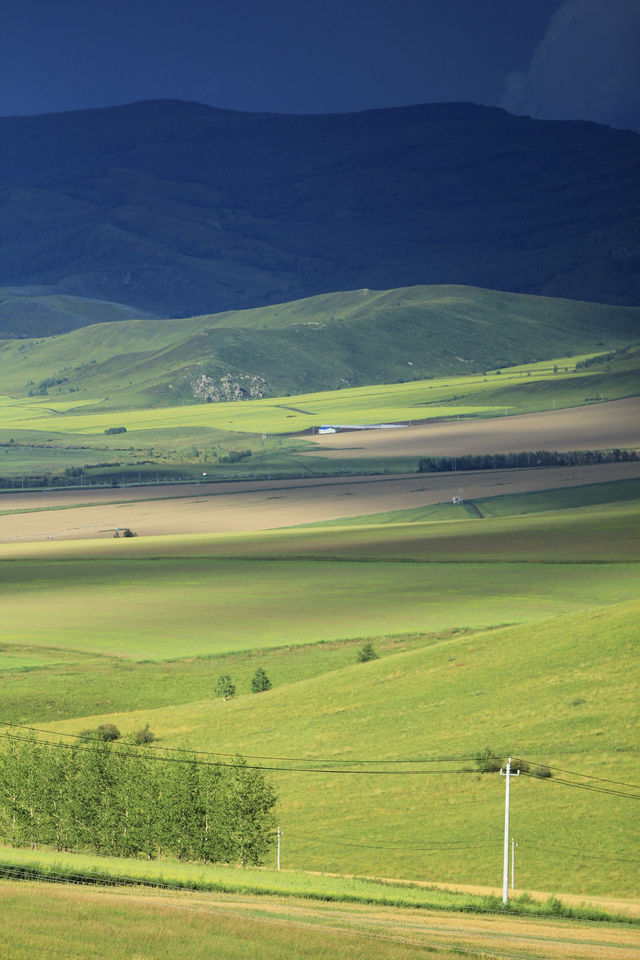 呼倫貝爾最美自駕線|走這一條路就夠了 呼倫貝爾最美自駕線|走這一條路就夠了