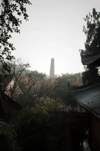 被香火與古木浸透