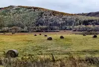 北京自駕阿爾山追秋