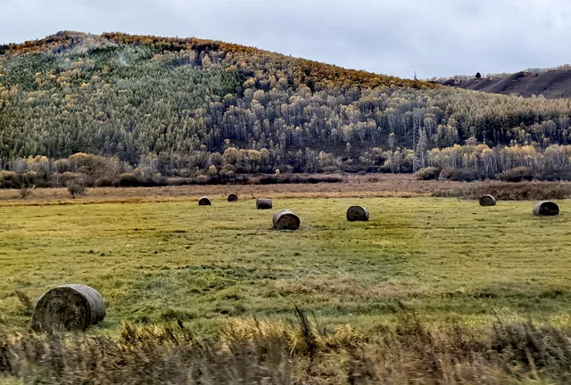 北京自駕阿爾山追秋 北京自駕阿爾山追秋