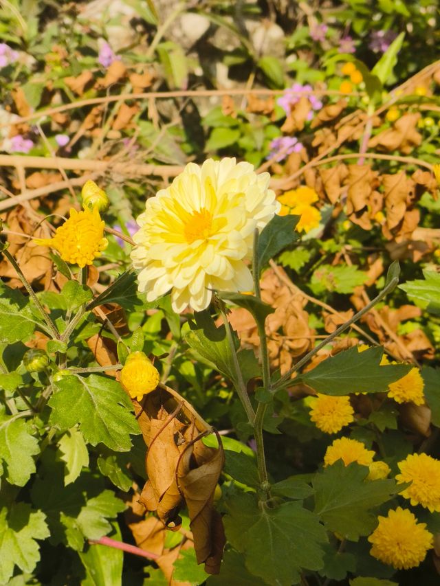 在南澳隱秘山谷裡,住進了她的花藝工作室 在南澳隱秘山谷裡,住進了她的花藝工作室