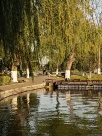 玄武湖|秋日序章