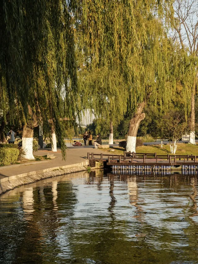 玄武湖|秋日序章 玄武湖|秋日序章