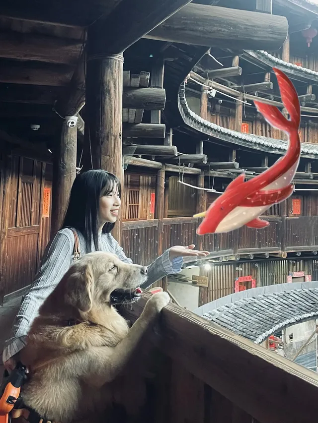 福建雲水謠|帶狗狗走進大魚海棠的童話世界 福建雲水謠|帶狗狗走進大魚海棠的童話世界