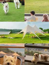 台州溫嶺輕鬆住，這家希爾頓惠庭也太會了！