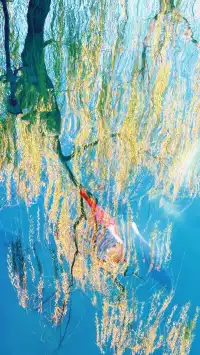 傳說中的“琉璃海”，我在濟南找到了！